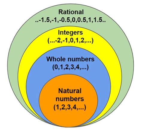 What Are Whole Numbers