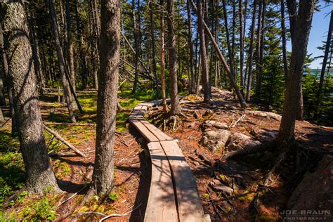 Ship Harbor Trail Photos Joe S Guide To Acadia National Park