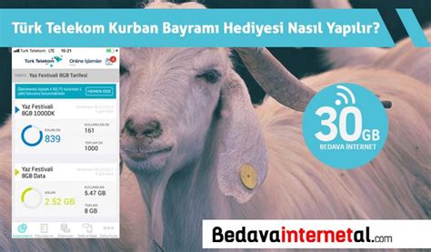 Türk Telekom Kurban Bayramı Bedava İnternet 2025 Bedava İnternet Al