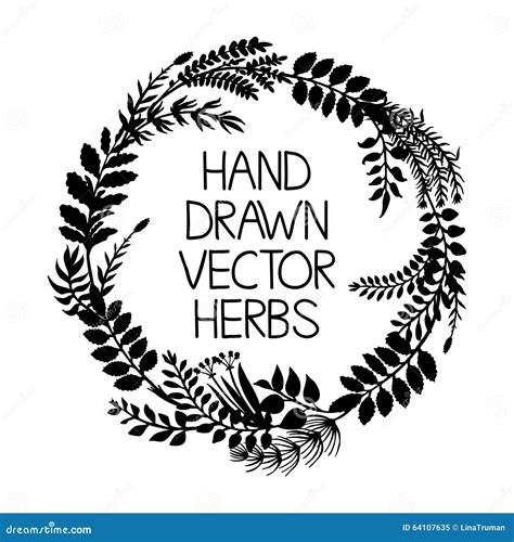 Hand Drawn Wreath Of Herbs And Plants Vector Illustration Stock