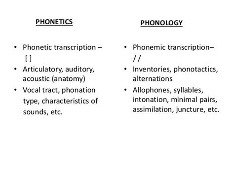 Relationship Between Phonetics And Phonology