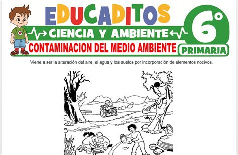 Contaminación Del Medio Ambiente Para Sexto De Primaria