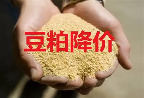 4月6日饲料价格：豆粕暴跌近1000元，玉米下调100元，多家饲料企业发布降价消息 猪好多网