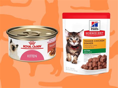 What Is The Best Kitten Food Collection Factory Olympcsmv Cz