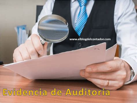 Nia 500 Evidencia De AuditorÍa