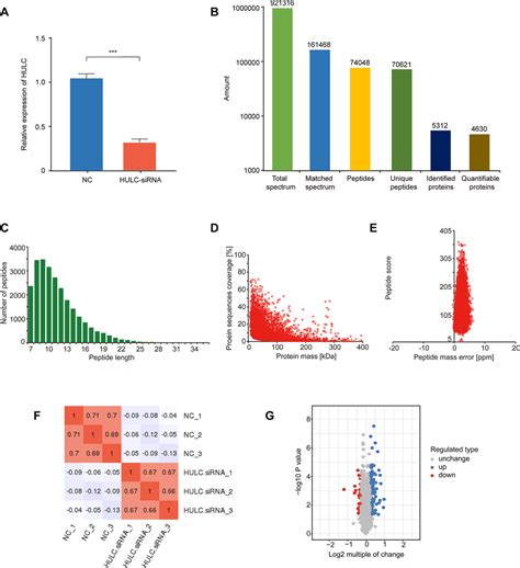 Proteins Exhibiting Altered Expression In HULC SiRNA Cells A QRT PCR