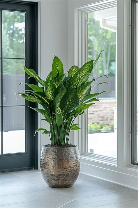 15 Best Indoor Plants That'll Give You An Instant Green Thumb