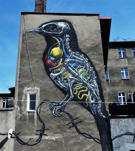 Roa New Murals In Katowice Poland Streetartnews