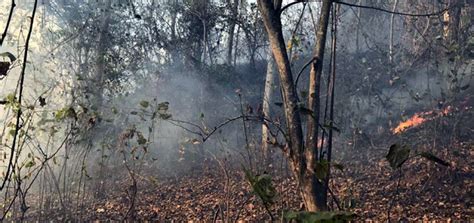 Ecuador Sin Fuego Iniciativa Para Reducir Incendios Forestales En El