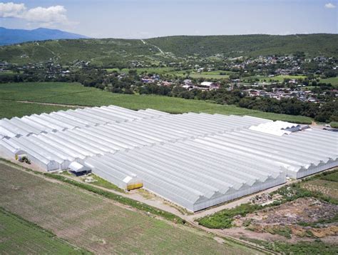 Diseño y construcción de invernaderos en México J Huete International