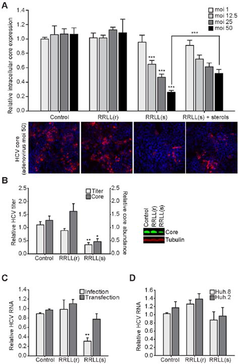 Inhibition Of SKI 1 S1P Using Spn4A RRLL S Results In A Dose Dependent