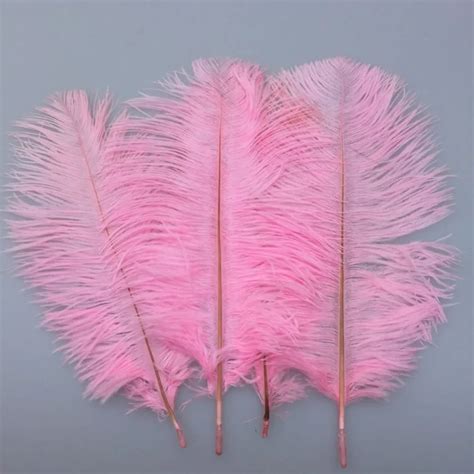 Hot Pcs Lot Natural Pink Ostrich Feathers Length Cm Feathers