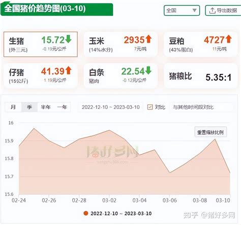 3月10日猪价上涨“全线熄火”！25地飘绿，3月猪价能否峰回路转？ 知乎