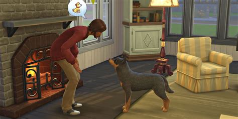 How To Train Pets Sims 4?