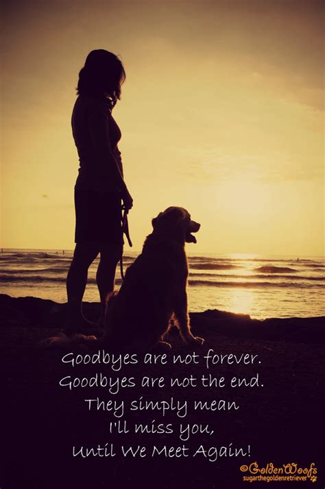 We Will Meet Again Quotes QuotesGram