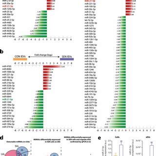 MiRNAs Showing Differential Expression In SEN Cells And Their Cognate