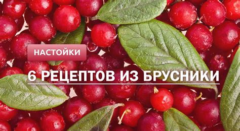 Настойка на бруснике: 6 рецептов в домашних условиях