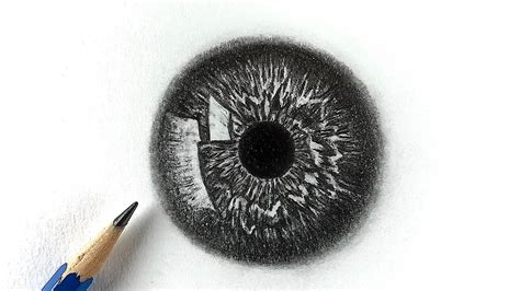 Eyeball Drawing