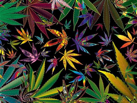 Trippy Weed Stoner Hippies Hd Wallpaper Pxfuel