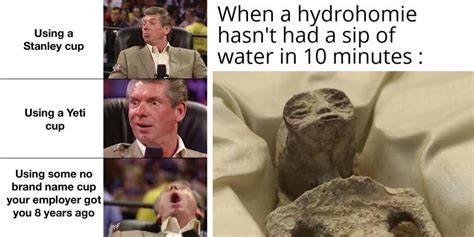 15 Memes To Remind Everyone To Stay Hydrated | Know Your Meme