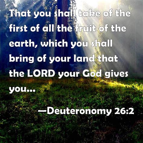 Deuteronomy That You Shall Take Of The First Of All The Fruit Of