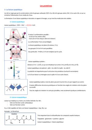 Acides Amin S E Partie Iii Ionisation Des Acides Amin S Les Groupes