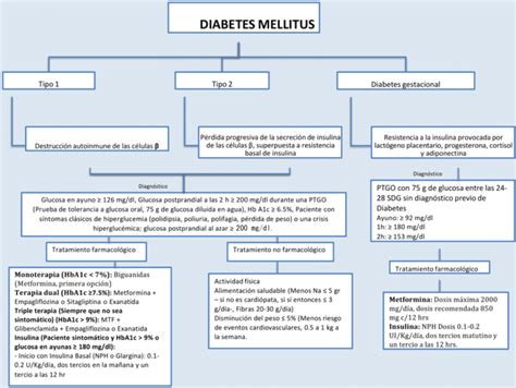 Mapas Conceptuales De La Diabetes Descargar