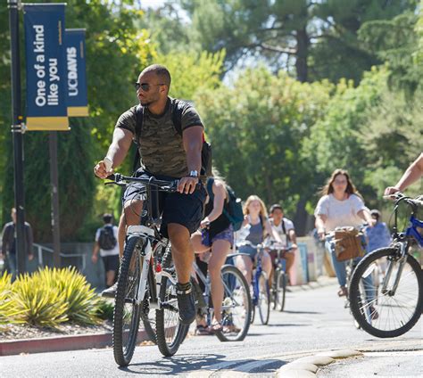 Why Drive Uc Davis