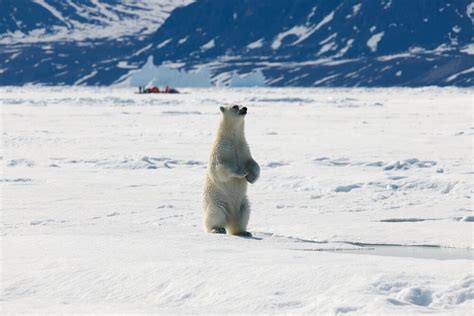 Inuit Culture Photography | Inuit Traditions in a Changing Environment