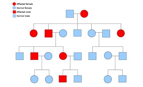 Pedigree - Definition, Function and Examples | Biology Dictionary