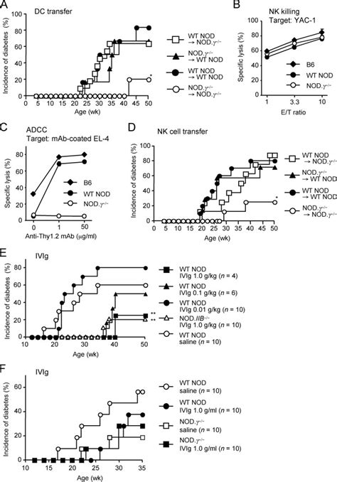 Adoptive Cell Transfer Experiments And Ivig Treatment Of Nod Mice A