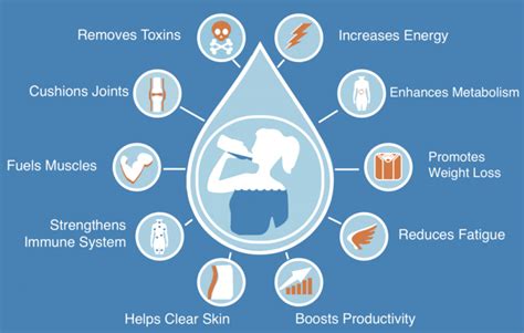 What Are The Benefits Of Staying Hydrated Elite TSM Vida Fitness