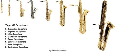 Different Types Of Saxophones Saxophone Alto Saxophone Contrabass