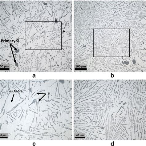 Optical Micrographs Of Samples Obtained From As Cast Alsi Alloy In A