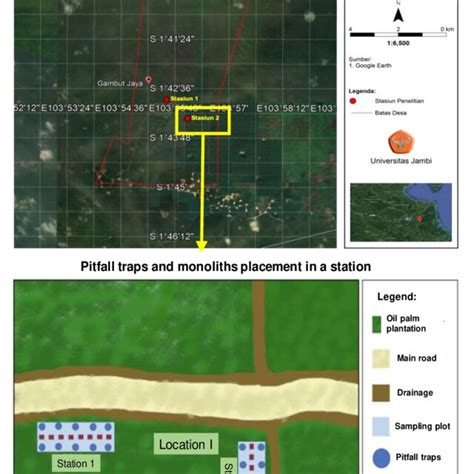 Map of research locations and trap placement design in Gambut Jaya ...