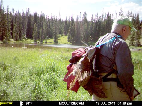 Help Catch a Poacher - Colorado Outdoors Online