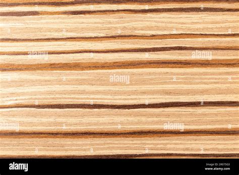 Natural Wood Background Light Olive Wood Veneer With Contrasting Brown