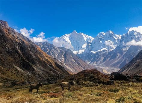 Kanchenjunga Circuit Trek Alliance Treks