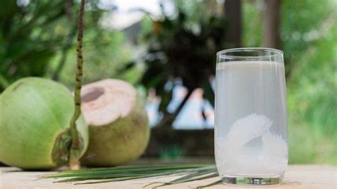 Rutin Minum Air Kelapa Dalam Keadaan Perut Kosong Ternyata Baik Untuk