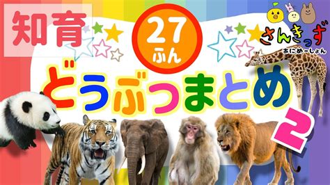 【子供向け 動物 知育アニメ】動物園のどうぶつたちの知育動画まとめpart2★【27分連続再生】ぞうさん パンダ キリン ライオン 人気の動物