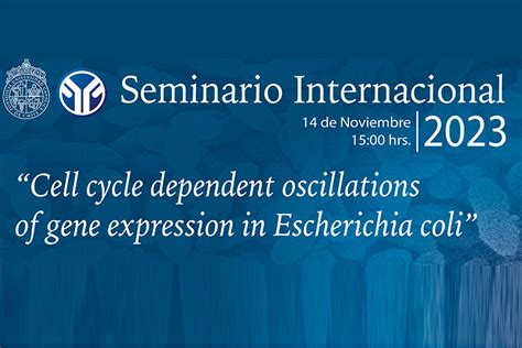 Seminario Imii Cell Cycle Dependent Oscillations Of Gene Expression In E Coli Martes 14 De