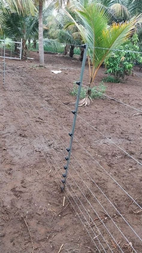 Solar Fencing Pole At Feet Solar Fence Guard In Dindigul Id