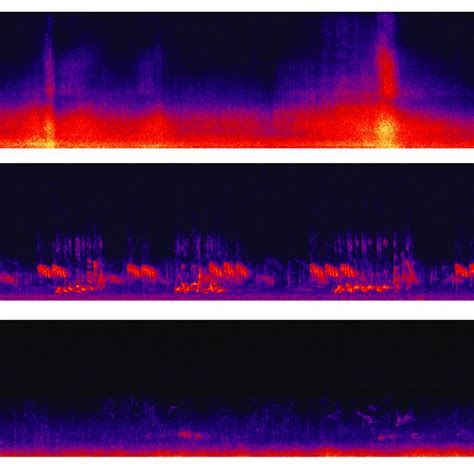 | Three examples (A–C) of spectrograms used in Experiment 1. | Download ...