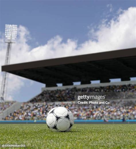 39,174 Grass Soccer Stadium Stock Photos, High-Res Pictures, and Images ...