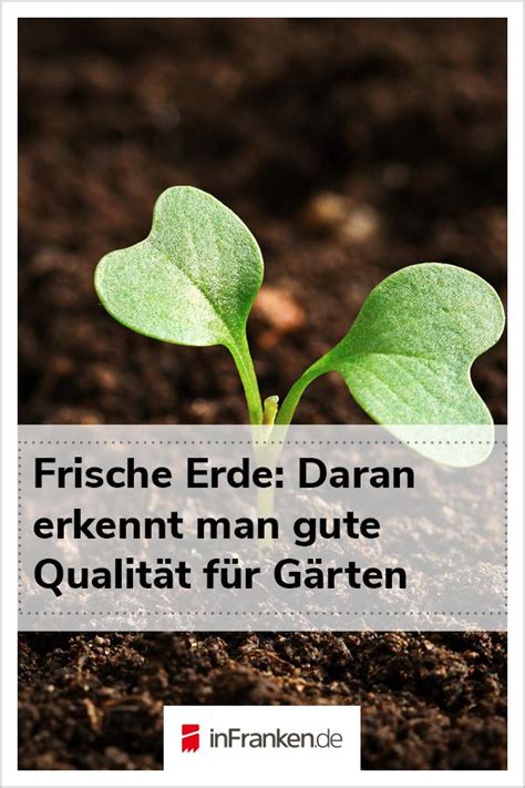 Frische Erde Daran Erkennen Sie Gute Qualit T Pflanzen Garten