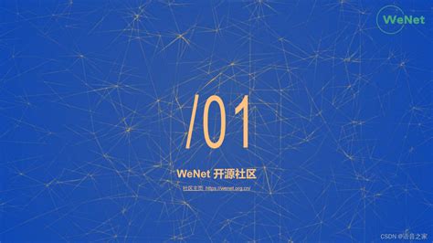 WeNet开源社区介绍_wenet 2.0-CSDN博客