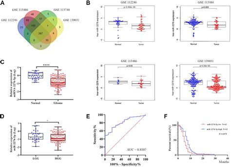 Frontiers Exosomal Mir P In Plasma Is A Potential Diagnostic