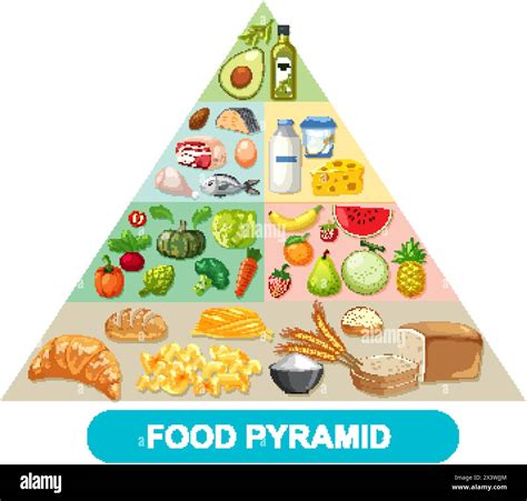 Illustrated Food Pyramid With Various Food Groups Stock Vector Image And Art Alamy