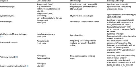 Differential diagnosis of a myometrial cyst. | Download Scientific Diagram