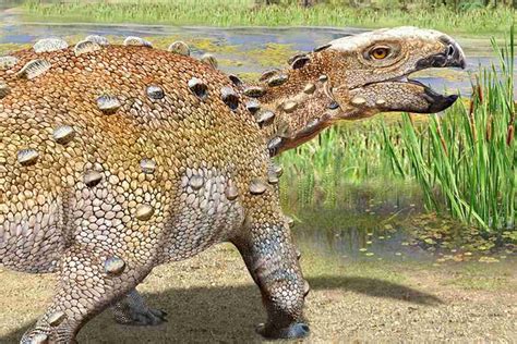 Descubren Una Nueva Especie De Dinosaurio Acorazado En La Patagonia